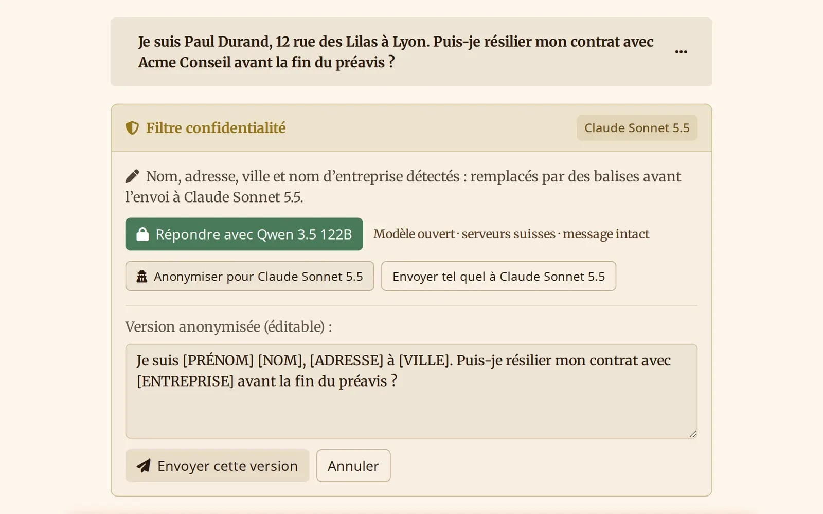 Privacy filter | Sensitive data detected and anonymised before sending